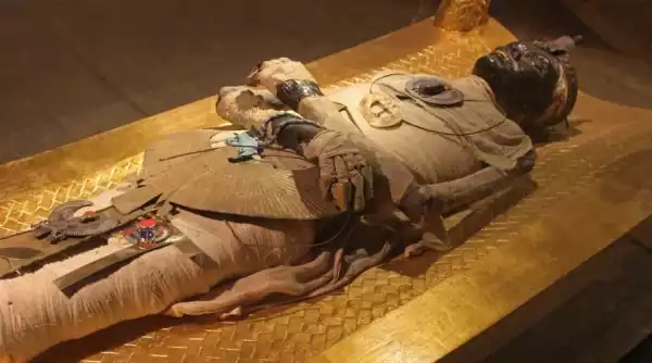 PHOTOS: The Mummy (17 of them )found in Egypt